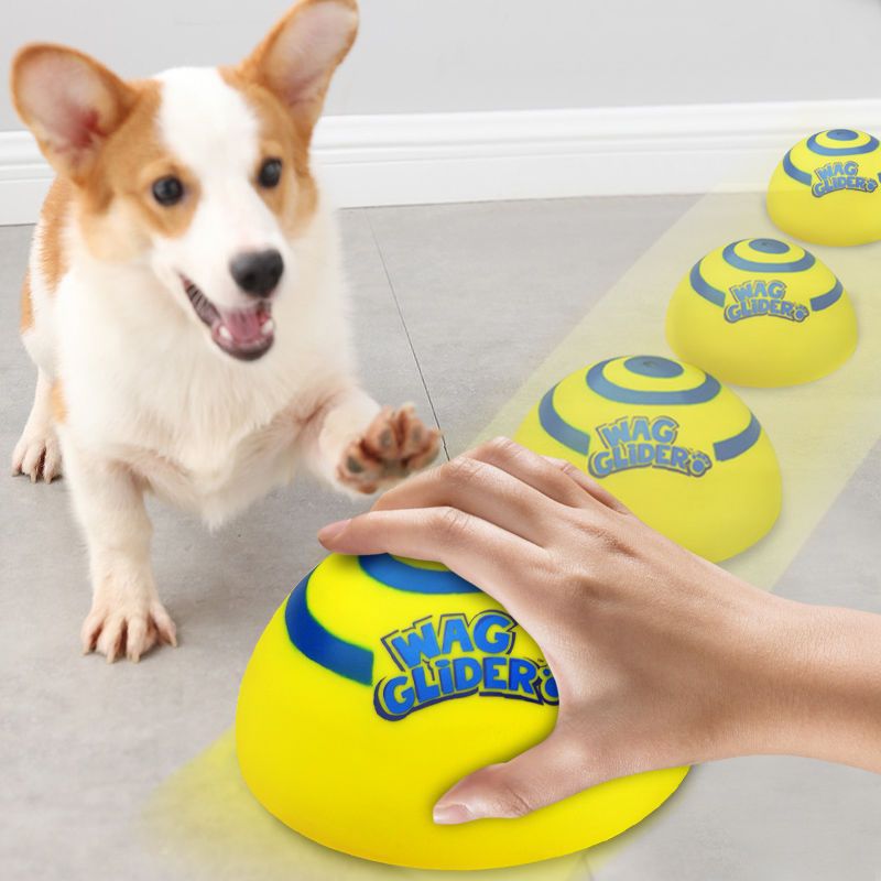 Cross-border dog toy teething resistant bite sound sliding disc pet cute pet anti-demolition home self-entertainment toy frisbee