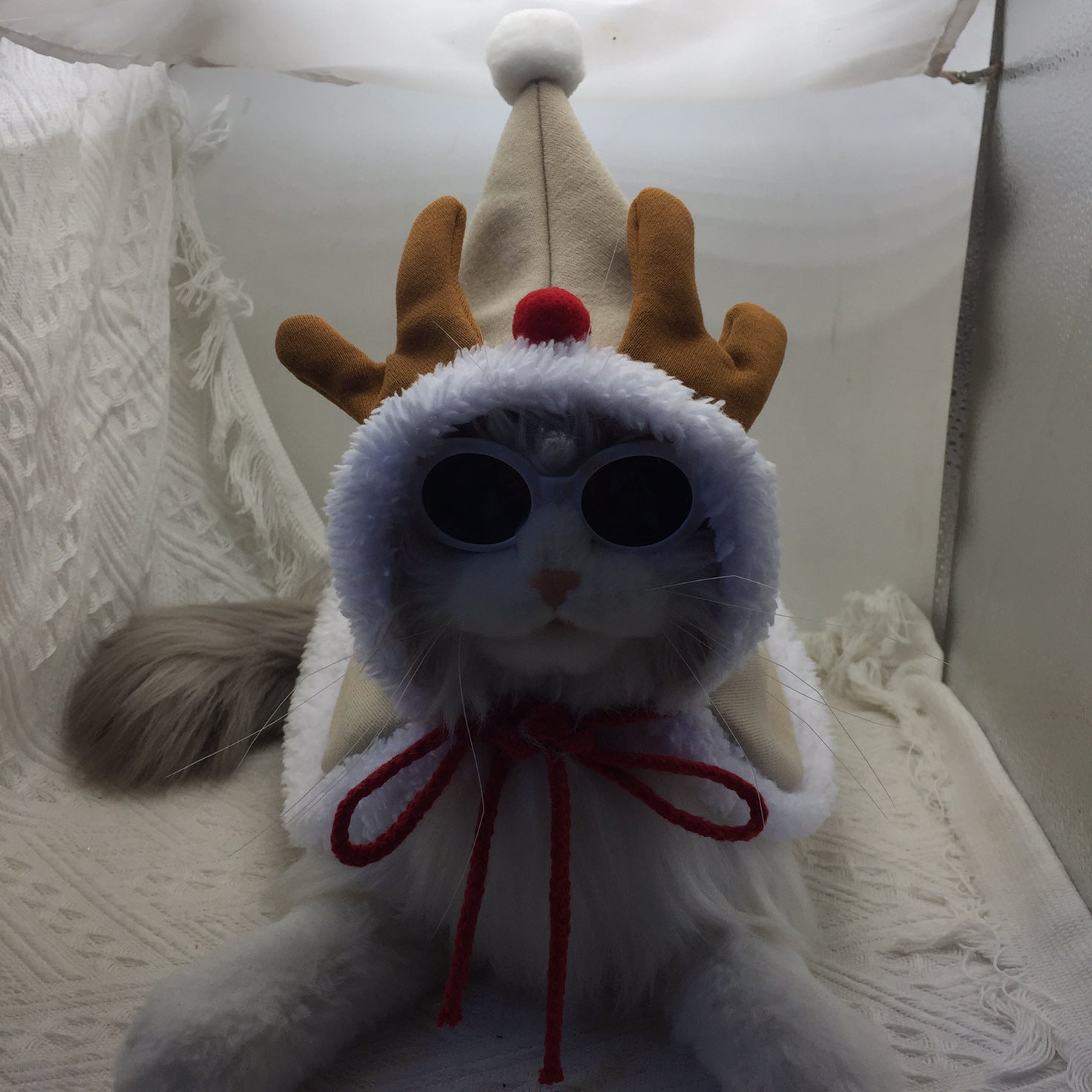 Cat New Year's Christmas clothes cloak cloak pet puppy hat Teddy bear elk Christmas tree autumn and winter