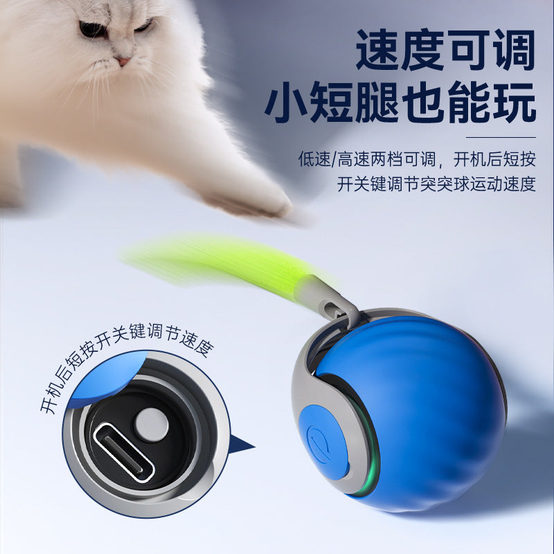 New pet cat and dog toy ball, self-entertainment and fun cat ball, chew-resistant cat chasing toy artifact