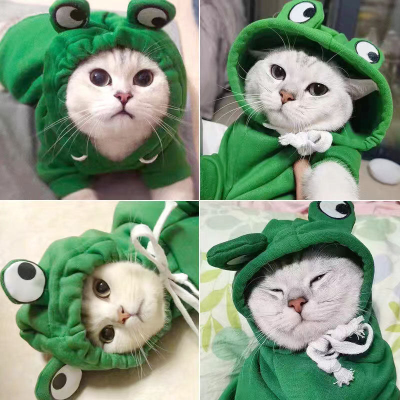 Cross-border puppy cat pet hooded cotton coat autumn and winter fleece warm frog sweater pet clothes dog clothing