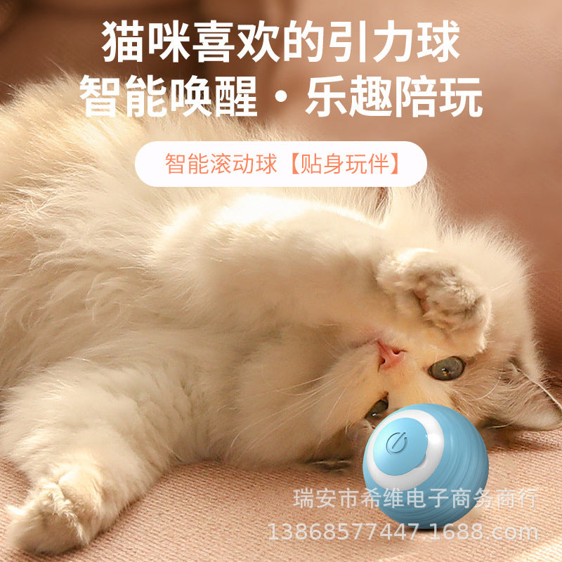 Funny Cat Ball Electric Bite-Resistant Self-Happiness Relief Toy Cross-border Pet Cat Track Wenzhou Gravity Smart Rolling Ball