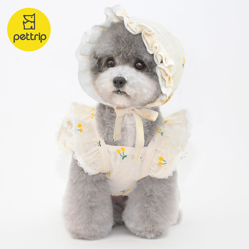 Beitu spring and summer new pet skirt dog skirt cat skirt kitten skirt pet clothes dog clothes