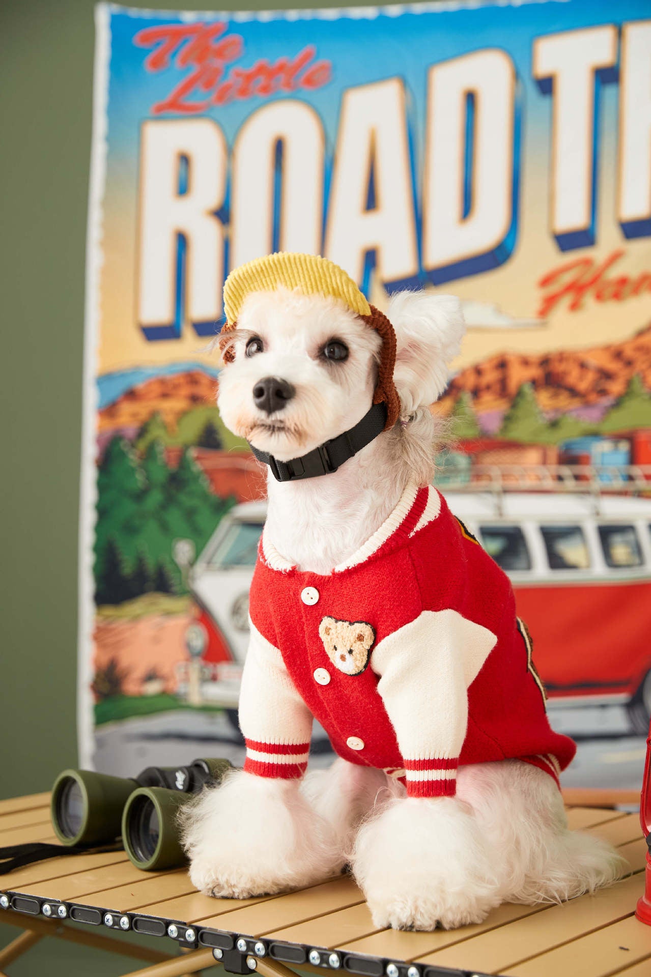 Clearance sale of dog clothes autumn and winter new style schnauzer, bichon, teddy, French bulldog handsome pet baseball uniform trend