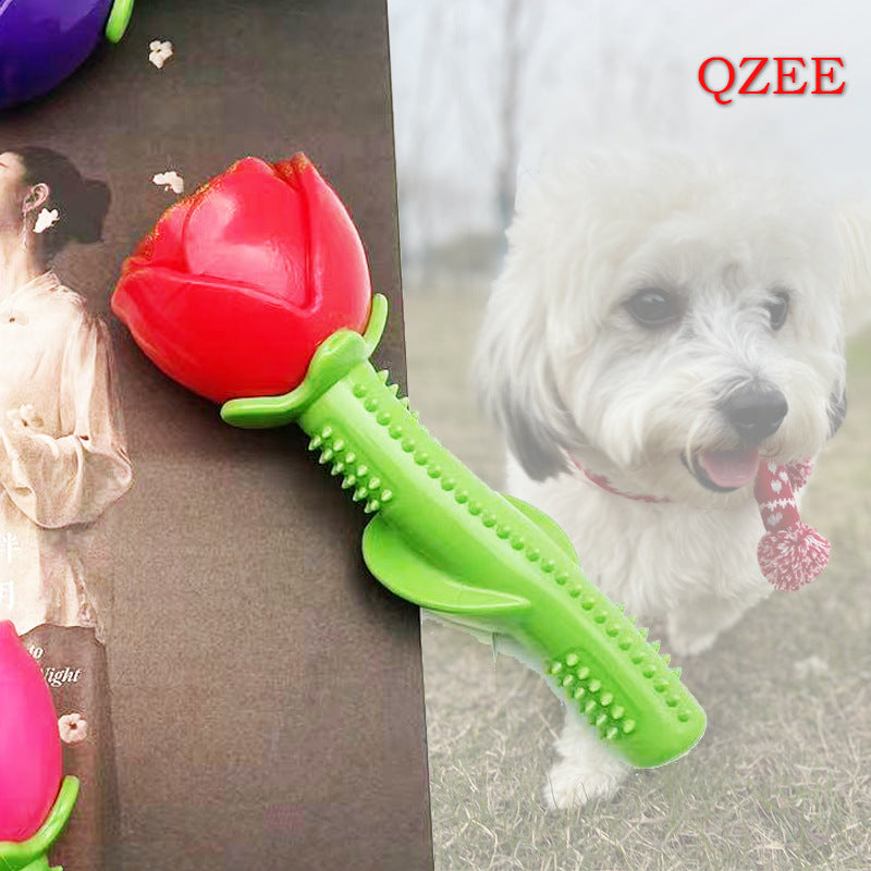 Pet dog rose tooth cleaning stick floating water toy interactive artifact bite-resistant elastic corgi French bulldog golden retriever