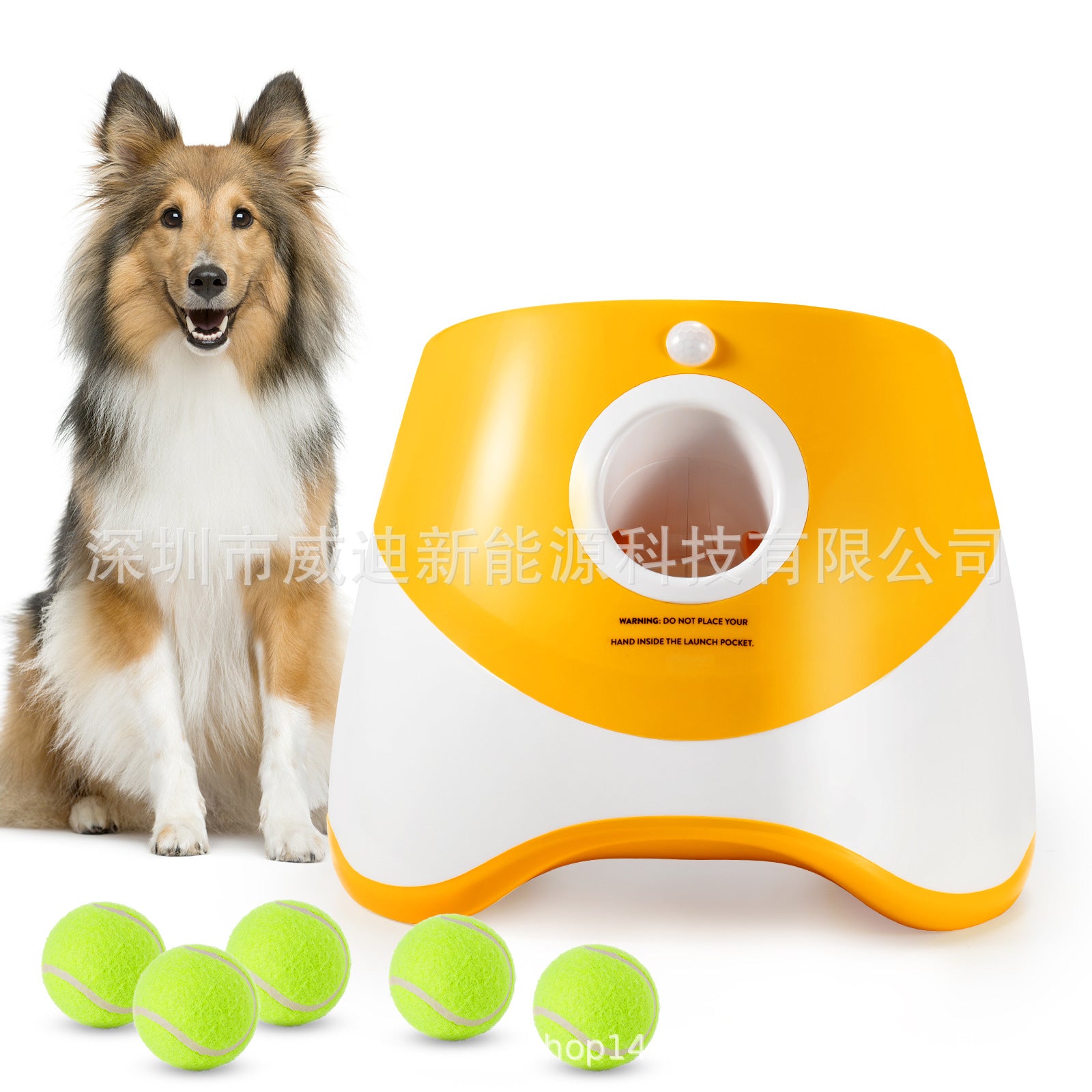 Cross-border pet ball throwing machine Pet cat and dog ball throwing machine 6 balls outdoor automatic dog ball launcher tennis ball pet toy