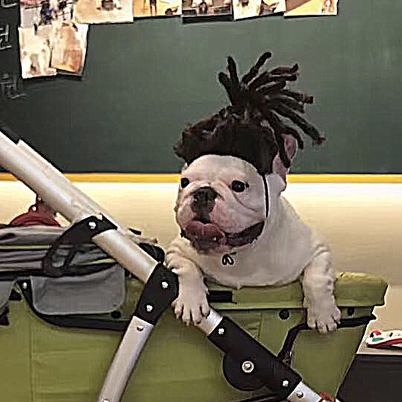 Factory direct sales cross-border pet hot-selling pet wigs dog wigs Halloween pet accessories curly hair straight hair