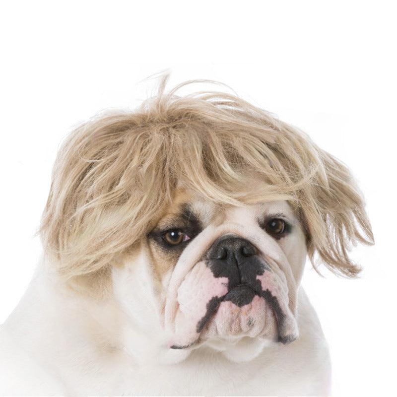 Factory direct sales cross-border pet hot-selling pet wigs dog wigs Halloween pet accessories curly hair straight hair