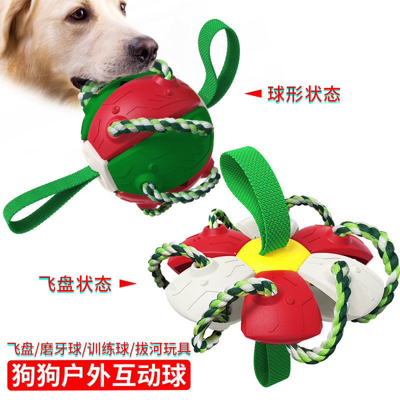 Pet Supplies Factory New Explosion Amazon Cross-border UFO Outdoor Training Interactive Frisbee Soccer Dog Toy