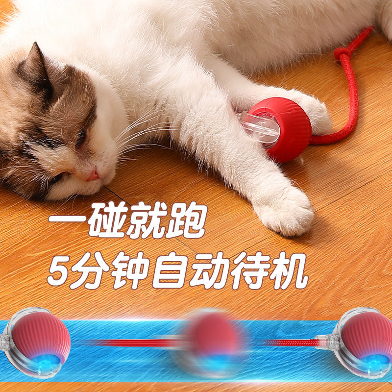 Cross-border bite-resistant automatic cat ball cat toy ball self-entertainment artifact with rope pet supplies jumping ball