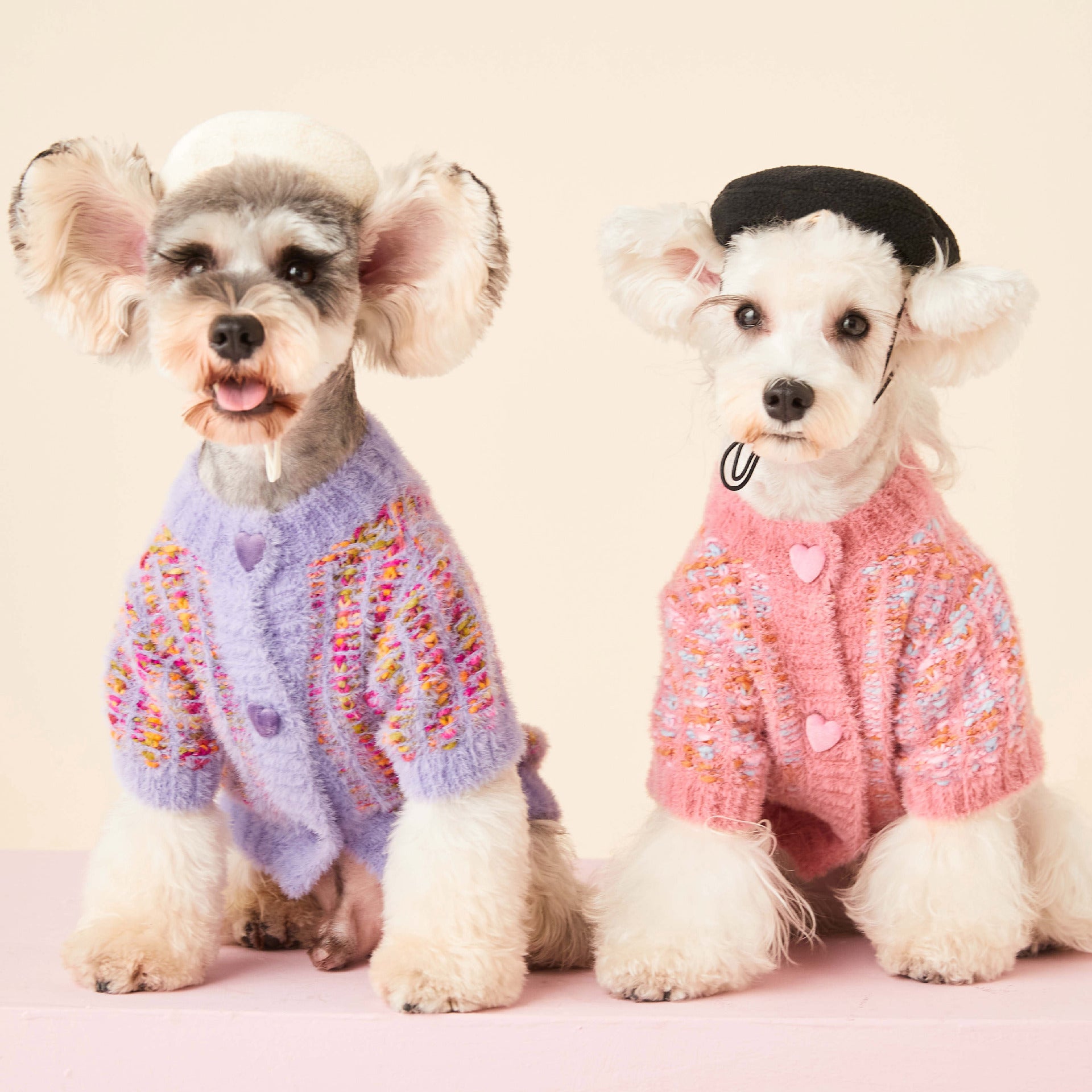 Dog clothes autumn and winter female dog colorful sweater Teddy Schnauzer Corgi Bichon Shiba Inu pet cardigan