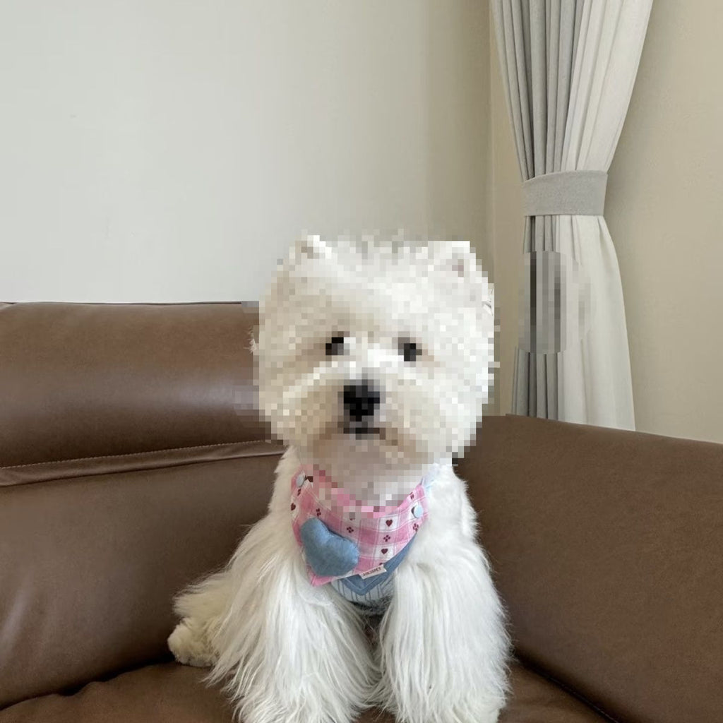 New pet bib adjustable double-sided dog triangular bandana bib pet clothes accessories bib