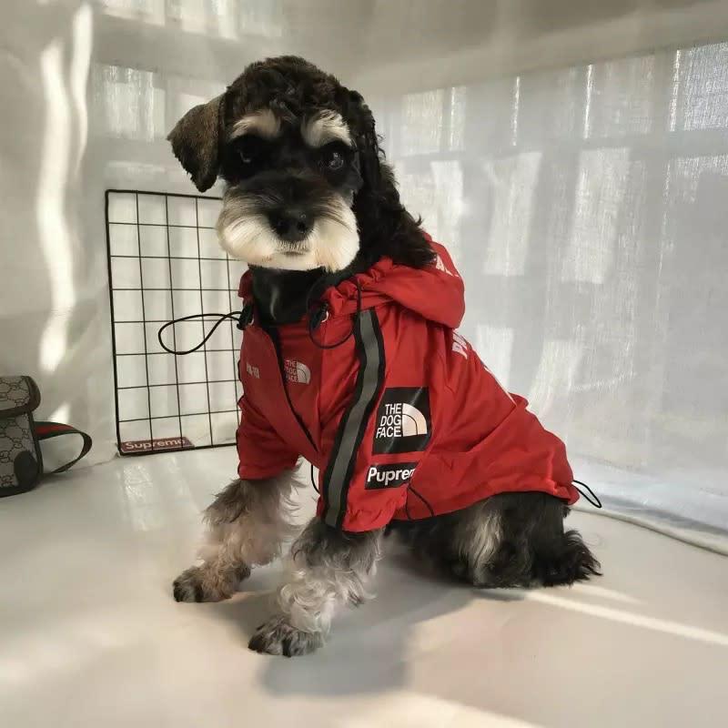 Dog North Face Jacket Windproof and Rainproof Polyester Warm Dog North Face Raincoat Dog Pet Clothes