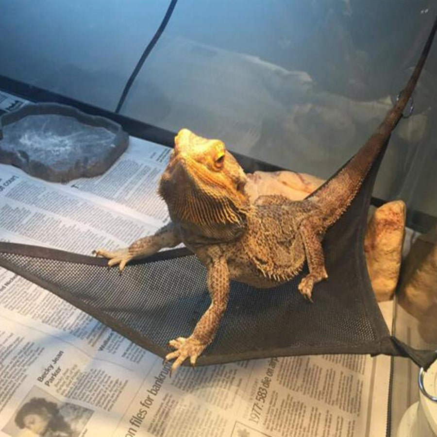 Lizard Hammock Reptile Snake Small Pet Supplies Pet Climbing Net Hammock Toy Swing Black