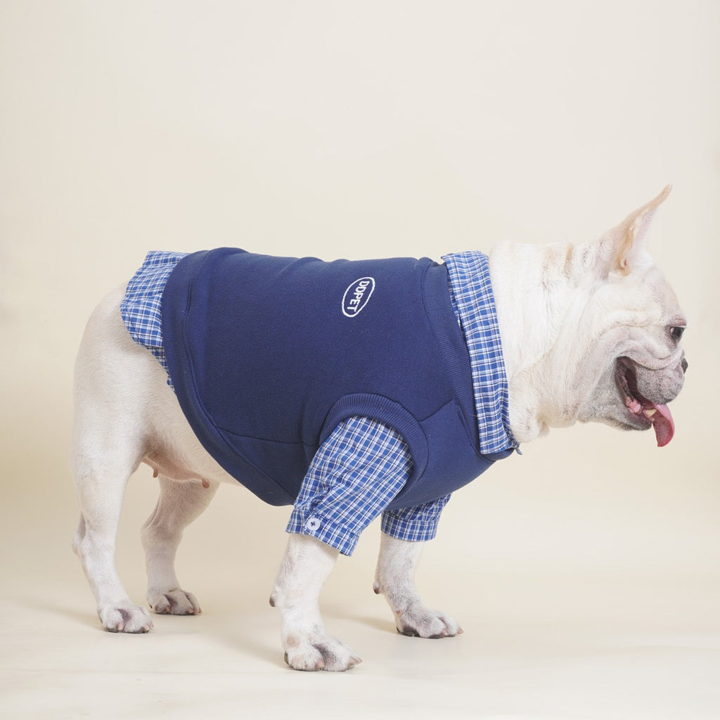 DDPET dog clothes pet autumn and winter French bulldog Schnauzer Bichon small dog and cat MIU style fake two-piece sweatshirt