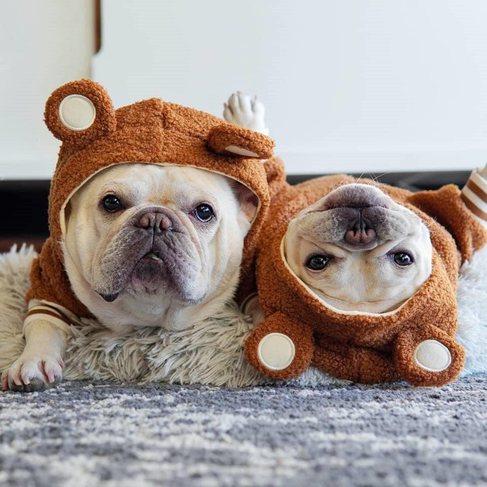 French Doll pet trendy brand ins hot style dog plus velvet warm standing ear sweatshirt autumn and winter sports dog clothes