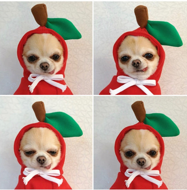 Fruit Transformation Dog Cat Small and Medium Dog Autumn and Winter Sweater Fleece Clothes Supplies Pet Teddy Fighting Manufactor