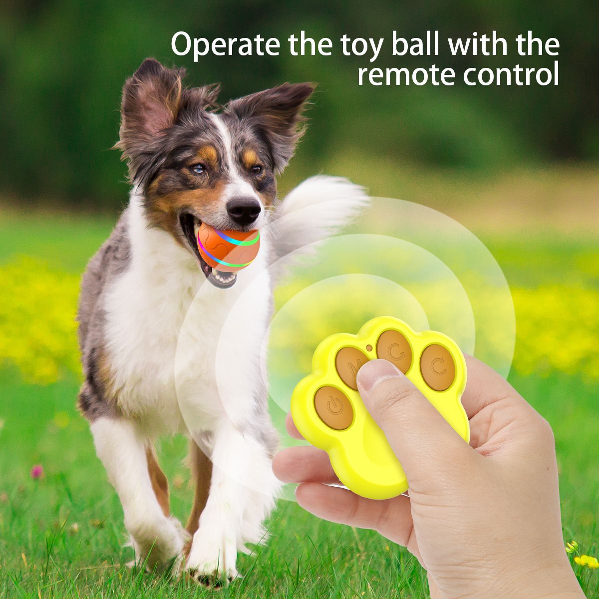 Cross-border manufacturer pet electric remote control ball cat and dog jumping toy bite-resistant boring artifact large and small dog pet ball