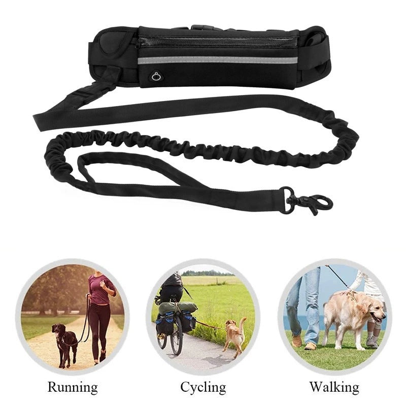 Sports outdoor running waist bag set pet leash dog leash walking dog leash set