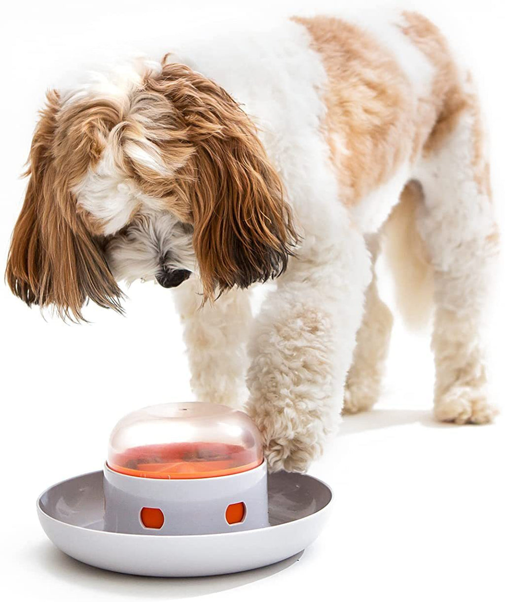 Dog press food leakage device pet automatic feeder slow food slow food device fun food leakage pet food leakage device