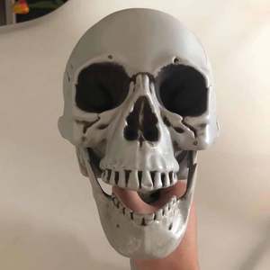 Cross-border Halloween haunted house props human skeleton mummy skeleton skeleton skeleton secret room skeleton bone decoration