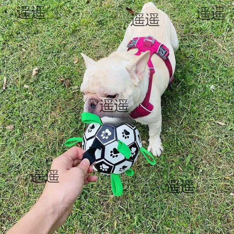 Dog football toy ball bouncy ball interactive ball training small and medium pet ball to relieve boredom wholesale manufacturer