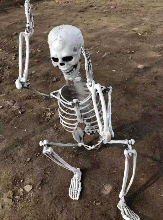 Cross-border Halloween haunted house props human skeleton mummy skeleton skeleton skeleton secret room skeleton bone decoration