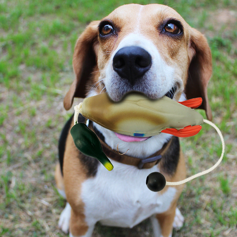 Spot private mold supply EVA injection PU foam pet dog training toy simulation duck fake duck training bite resistance