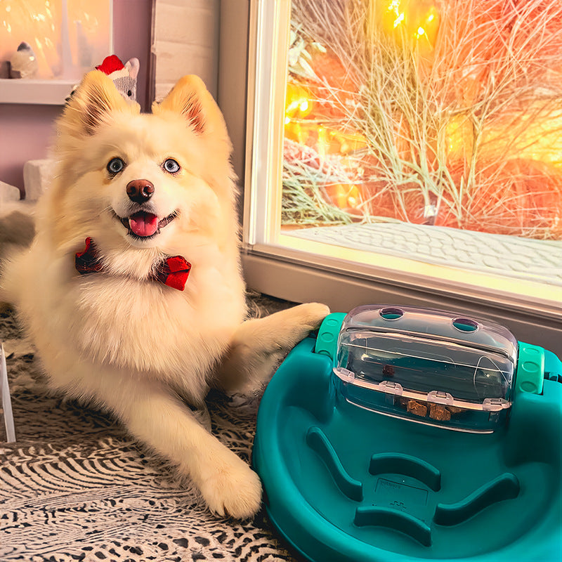 Cool extremely leaking toy dog puzzle roller forager pet amusing cat Tibetan food cat self-healing relief Tibetan food