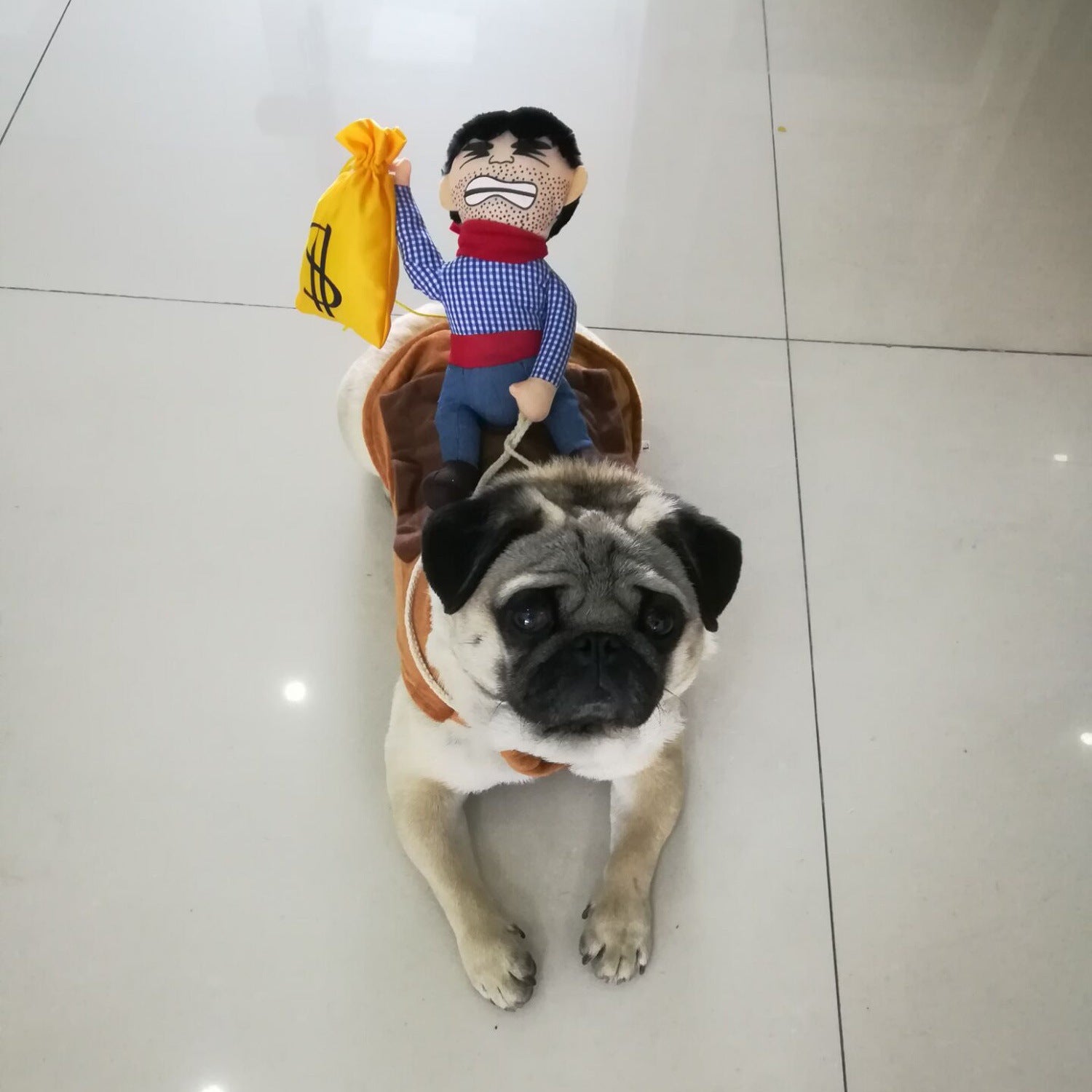 Cross-border pet dog clothes funny clothes big banana pet clothes dress up clothes pet suit dress