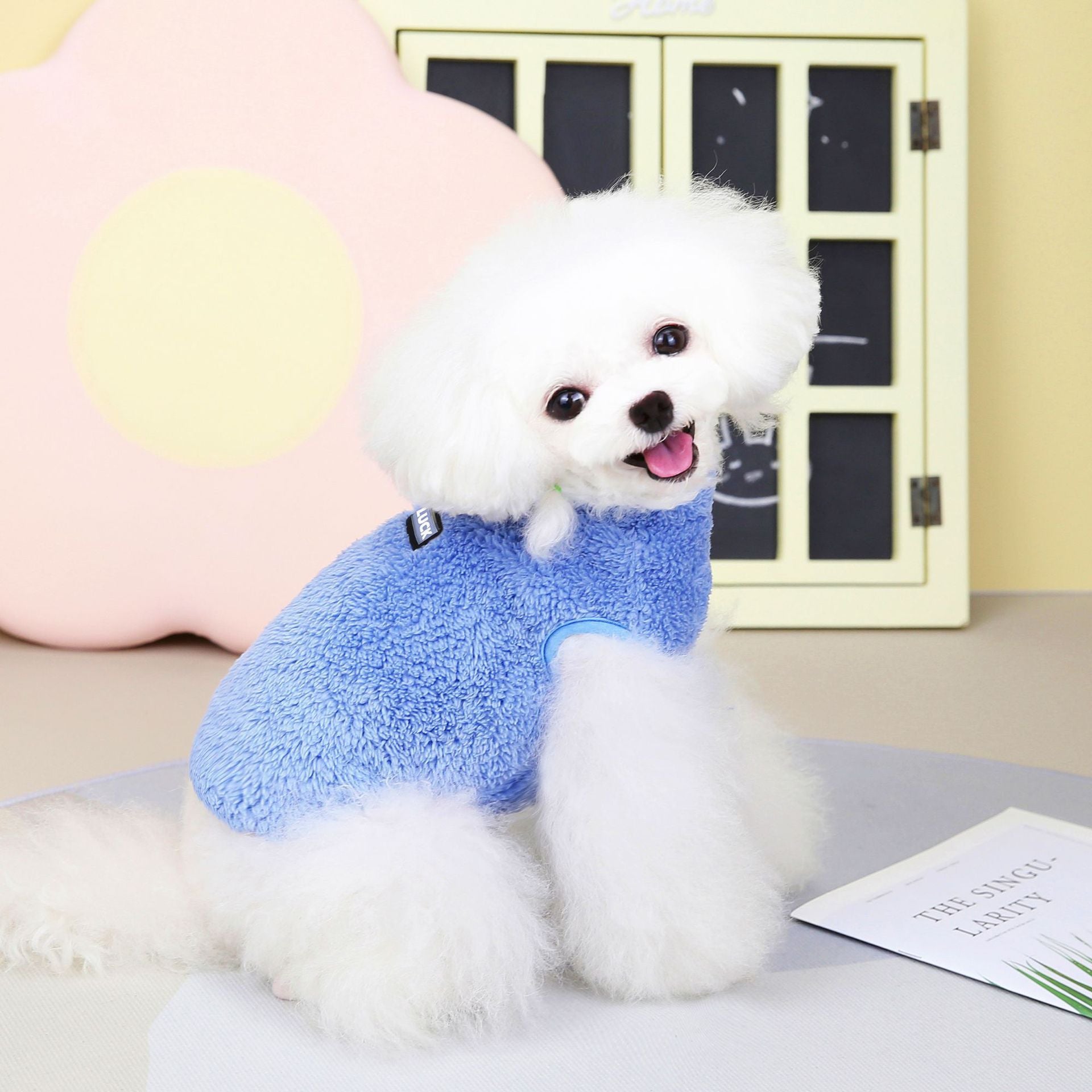 Pet clothes pet dog cat clothes pet two-leg fleece pajamas autumn and winter new 22 good luck fleece