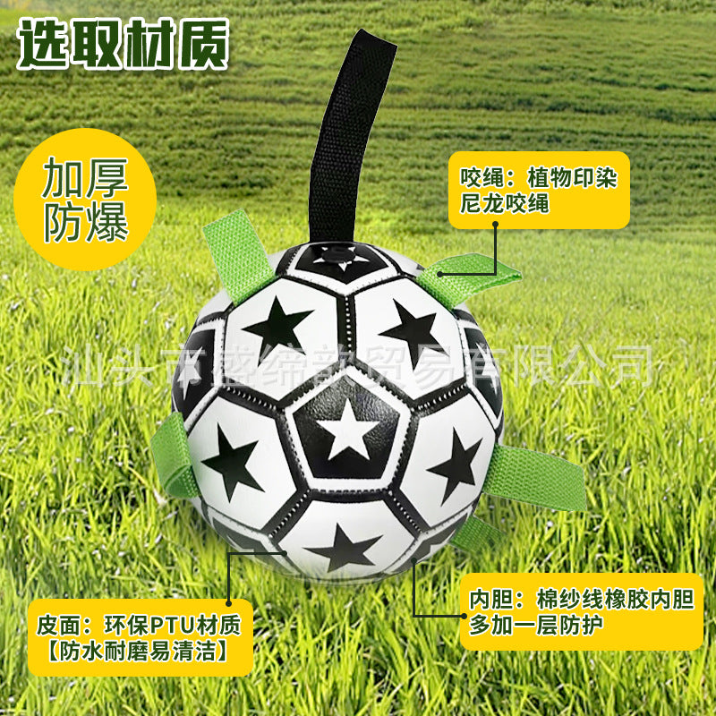 Cross-border Amazon pet dog football toy bite-resistant grinding teeth outdoor training dog walking ball boredom-relieving interactive toy