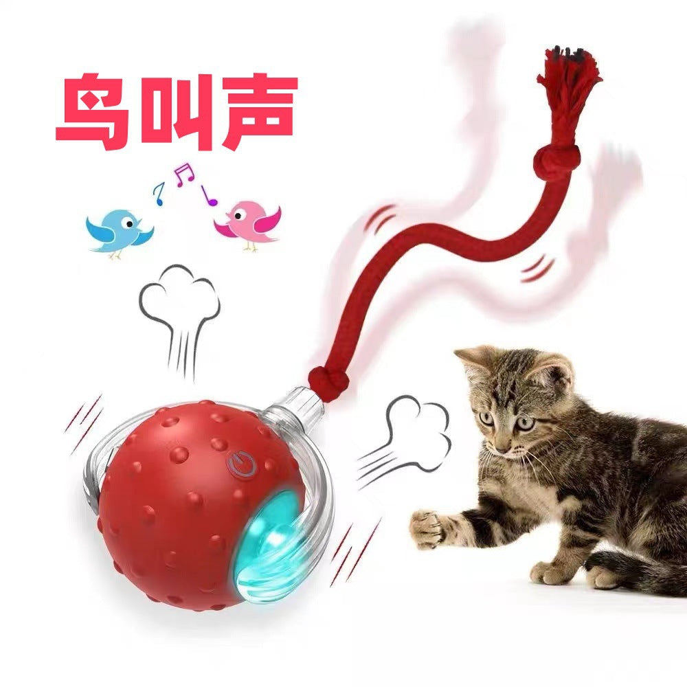New cat and dog pet toy ball, self-entertainment and fun cat ball, chew-resistant cat chasing toy artifact
