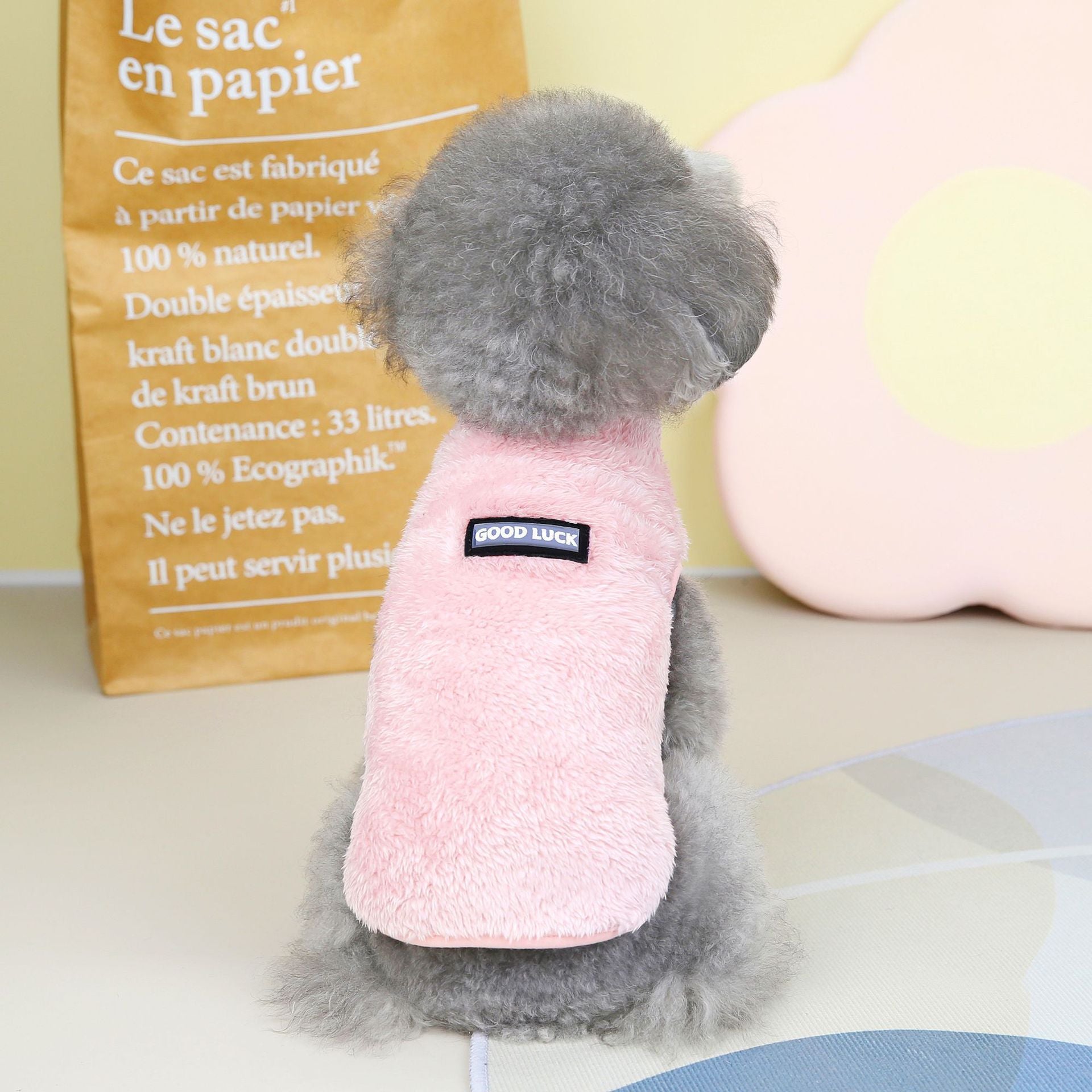 Pet clothes pet dog cat clothes pet two-leg fleece pajamas autumn and winter new 22 good luck fleece