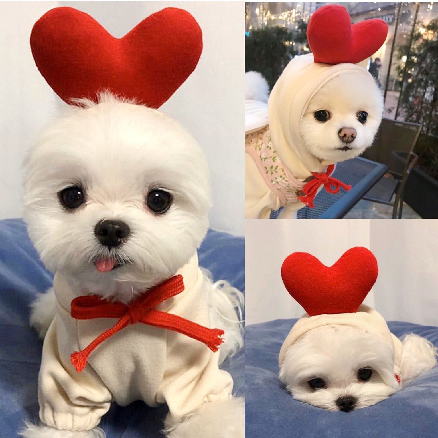 Fruit Transformation Dog Cat Small and Medium Dog Autumn and Winter Sweater Fleece Clothes Supplies Pet Teddy Fighting Manufactor