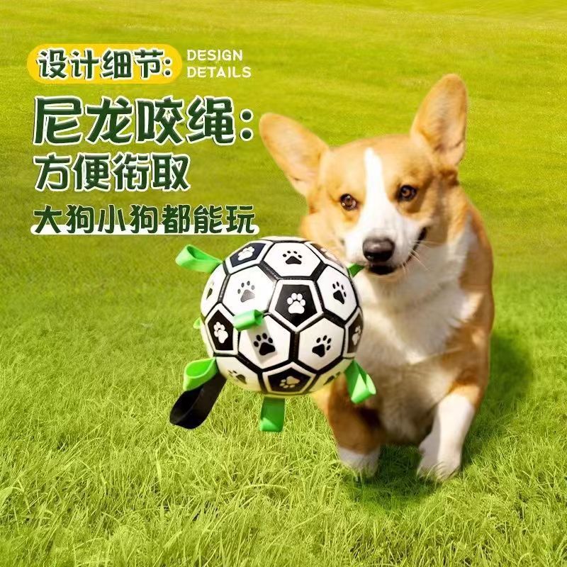 Dog toy football pet toy ball small and medium-sized dogs relieve boredom bite-resistant small football interactive artifact pet ball