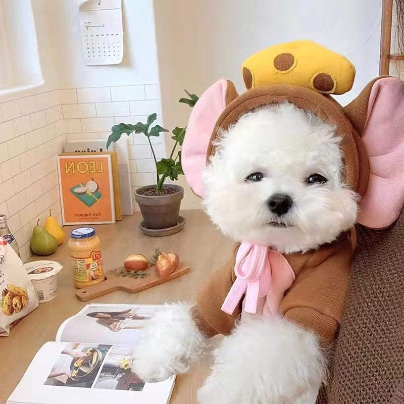 Fruit Transformation Dog Cat Small and Medium Dog Autumn and Winter Sweater Fleece Clothes Supplies Pet Teddy Fighting Manufactor