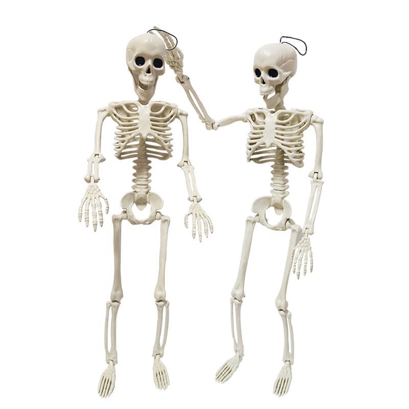 Halloween skeleton skeleton 60cm simulation human plastic skeleton decoration haunted house festival scene layout props