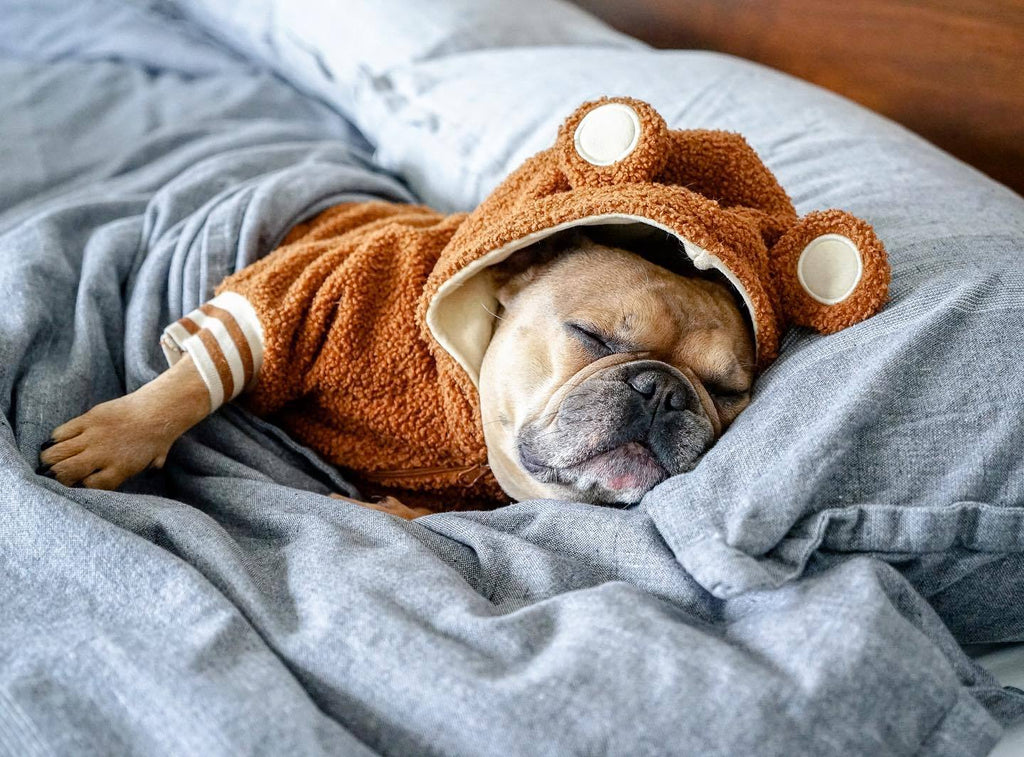 French Doll pet trendy brand ins hot style dog plus velvet warm standing ear sweatshirt autumn and winter sports dog clothes