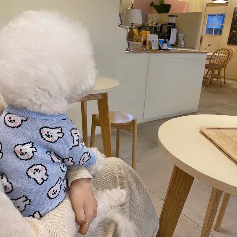 Spring and Autumn Pet Sweater Warm Small and Medium Puppies Teddy Bichon Pomeranian Knitted Cardigan Cat Dog Clothes