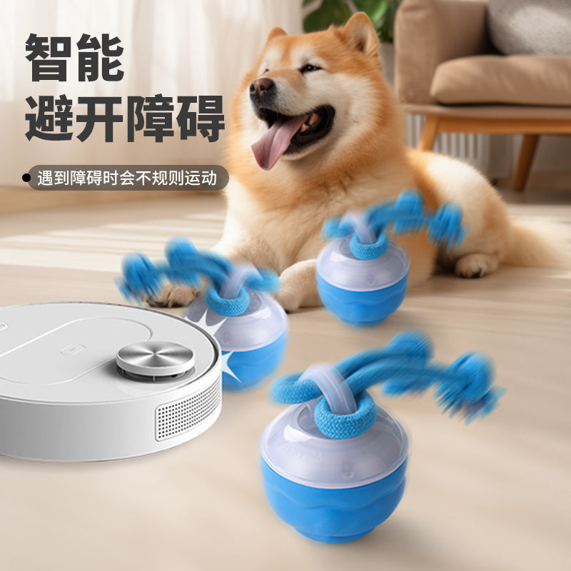Electric pet toy ball rolling ball rechargeable dog toy bite-resistant interactive dog ball teething