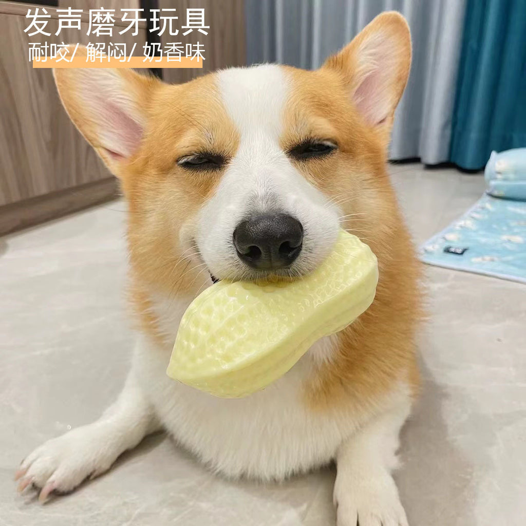 Dog Toy Peanuts Boredom Relief Artifact Bite-resistant Sound Dog Teeth Grinding Puppy Small Physical Strength Corgi Teddy Pet Ball