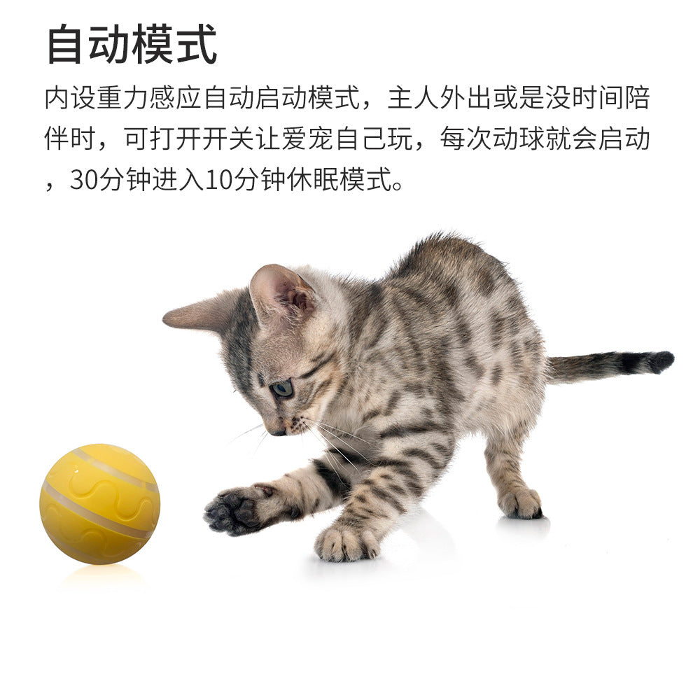 Amazon popular wicked ball new bite-resistant pet toy automatic dog toy ball electric smart ball