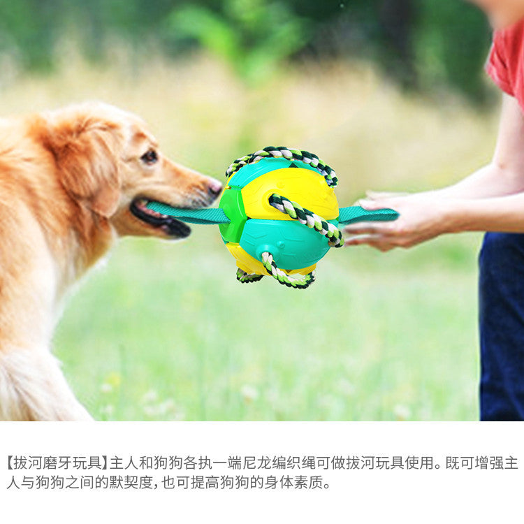 Pet Supplies Factory New Explosion Amazon Cross-border UFO Outdoor Training Interactive Frisbee Soccer Dog Toy
