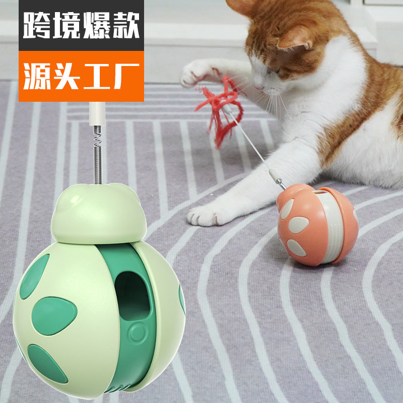 Pet supplies factory wholesale company new hot Amazon tumbler balance car beetle cat toy