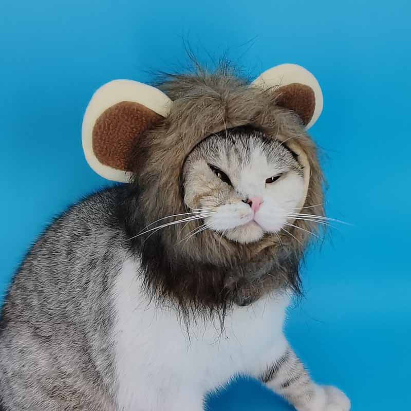 Halloween costumes for cats and dogs to be cute, universal adjustable Velcro autumn and winter lion transformed pet hat