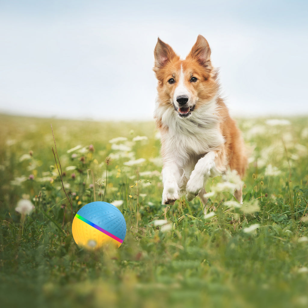 TEMU popular Amazon interactive pet automatic dog toy ball electric smart ball wicked ball O3