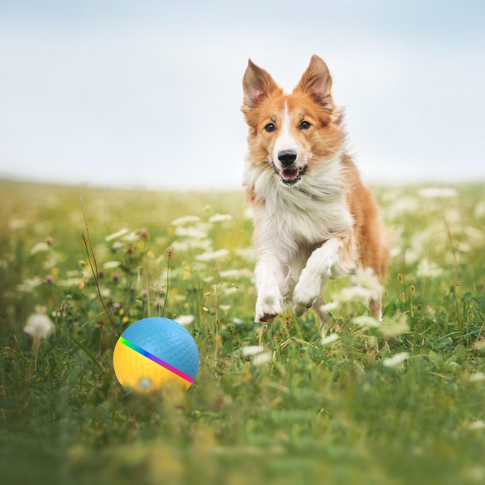 TEMU popular Amazon interactive pet automatic dog toy ball electric smart ball wicked ball O3
