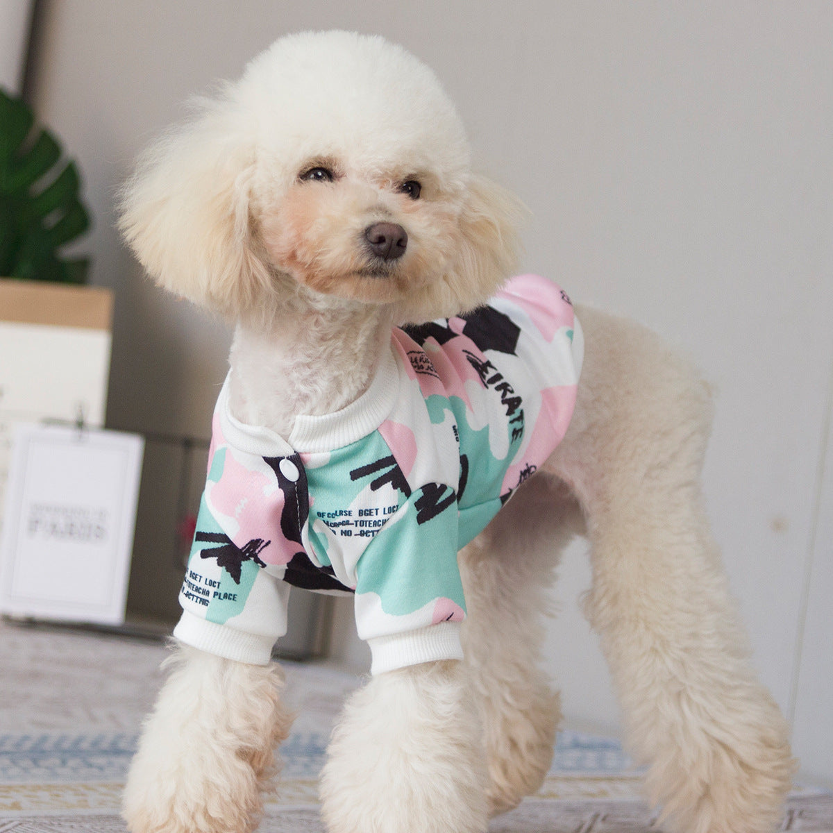 Dog Clothes Autumn and Winter Thin Cardigan Sweater Teddy Bichon Pomeranian Schnauzer Small Dog Cat Pet Clothes