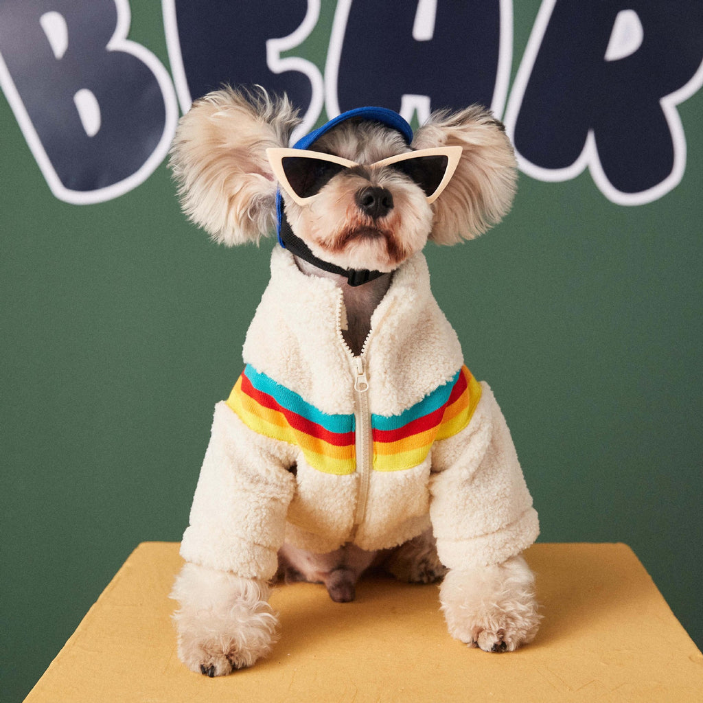 Cross-border foreign trade dropshipping dog clothes autumn and winter trendy Teddy Schnauzer Bichon pet lamb wool coat