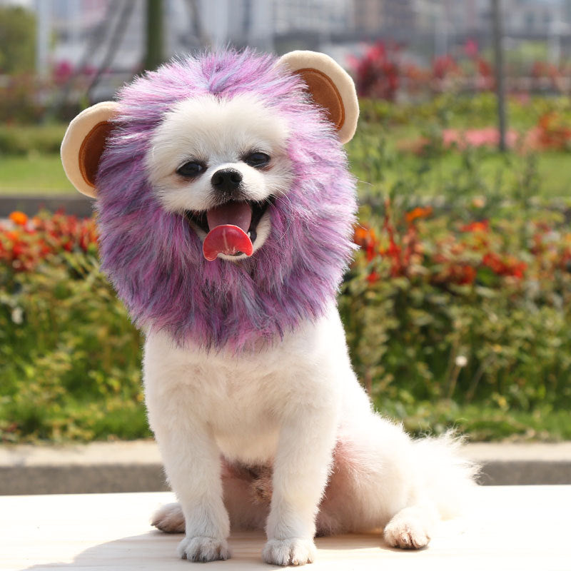 Halloween lion transformed ghost festival pet dog cat hat adjustable dog supplies cat clothes autumn and winter clothing